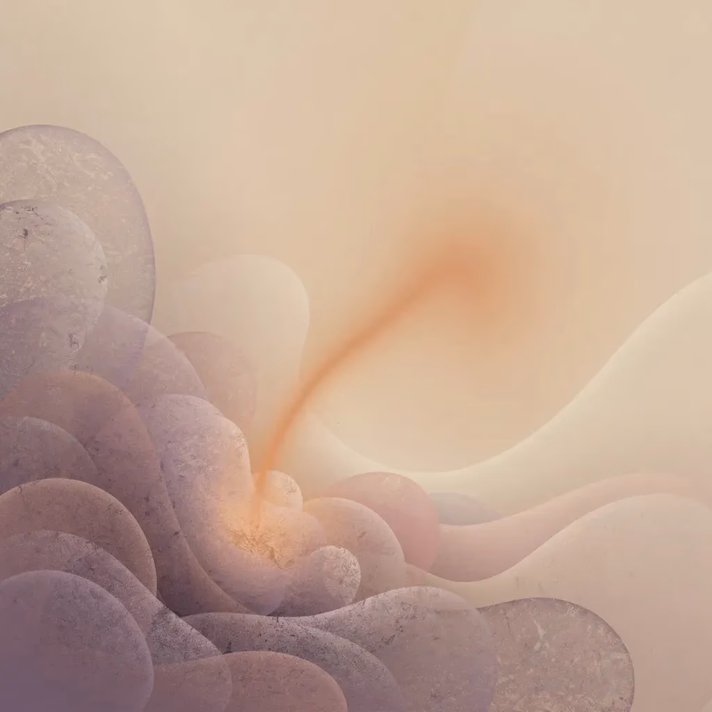 Self Image Check Q4 0